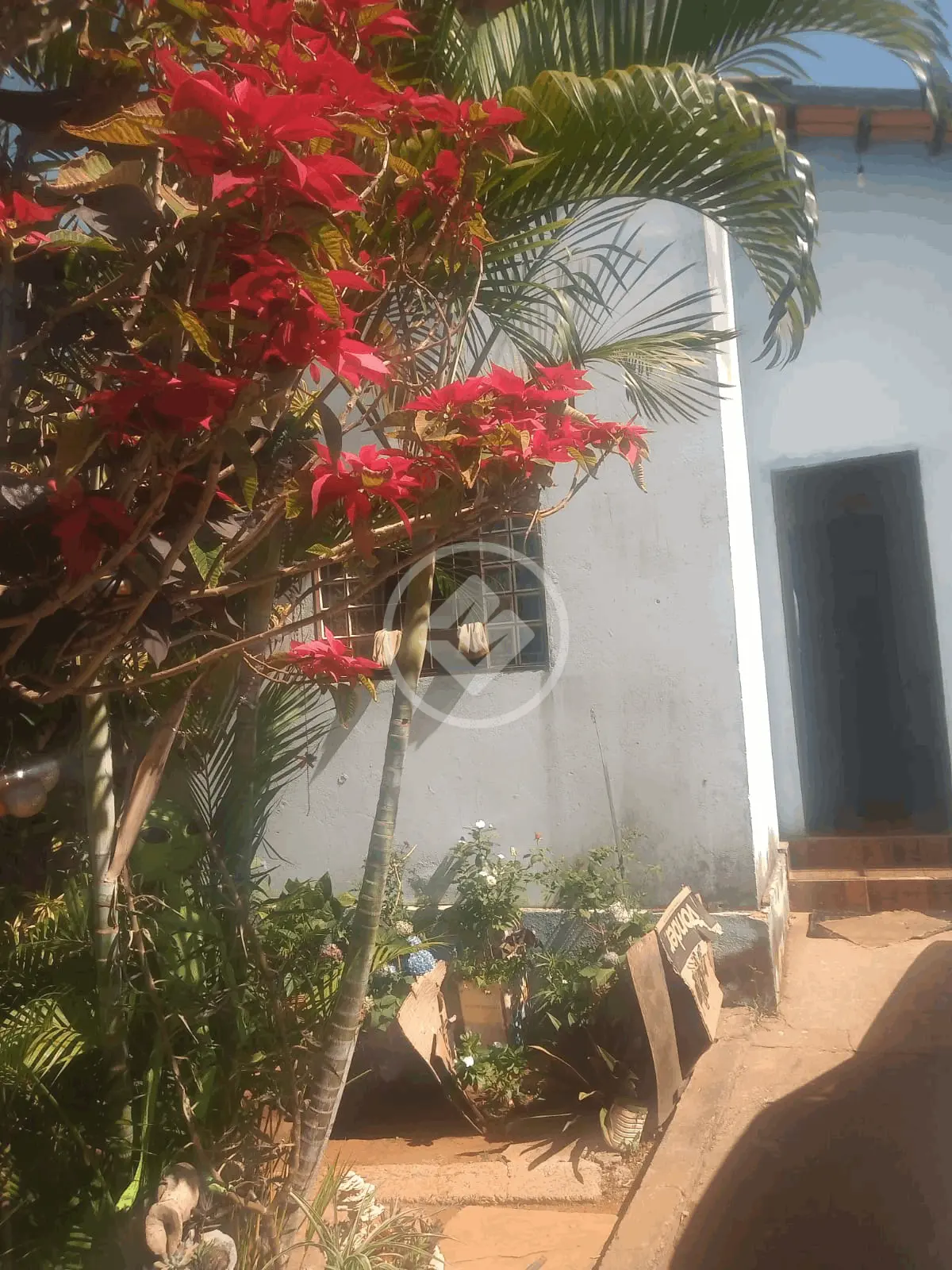Imagem 2 - Casa em Residencial Buena Vista I, Goiânia - GO