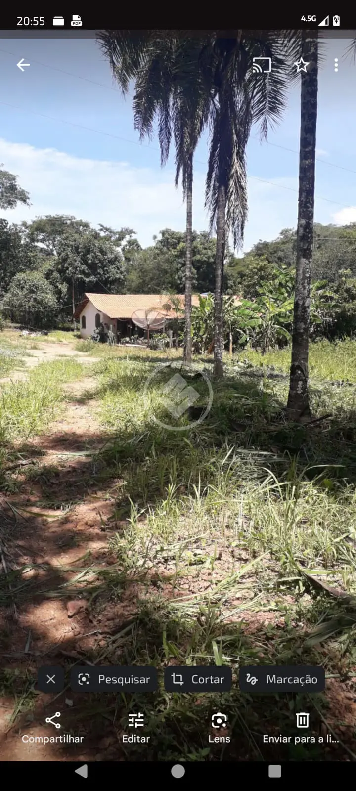 Imagem 2 - Fazenda em Setor Central, Santa Cruz de Goiás - GO