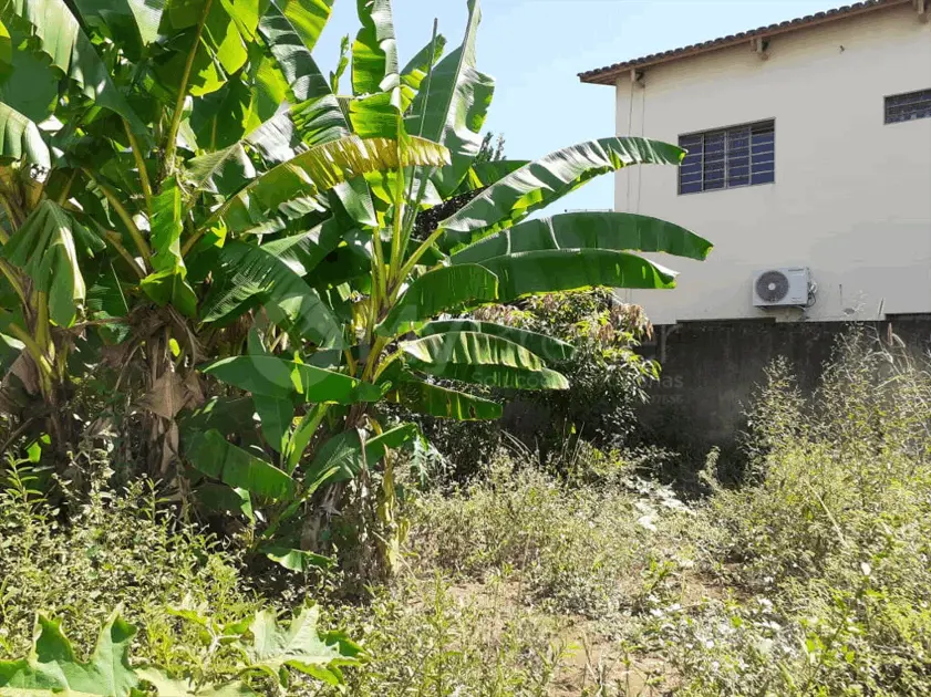 Imagem 2 - Terreno em Vera Cruz, Aparecida de Goiânia - GO