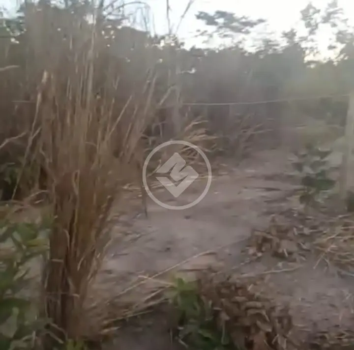 Imagem 2 - Terreno em Mansões Vale do  Araguaia, Aruanã - GO