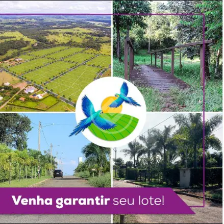 Imagem 4 - Chácara em Fazenda Recanto Sonhado, Bela Vista de Goiás - GO