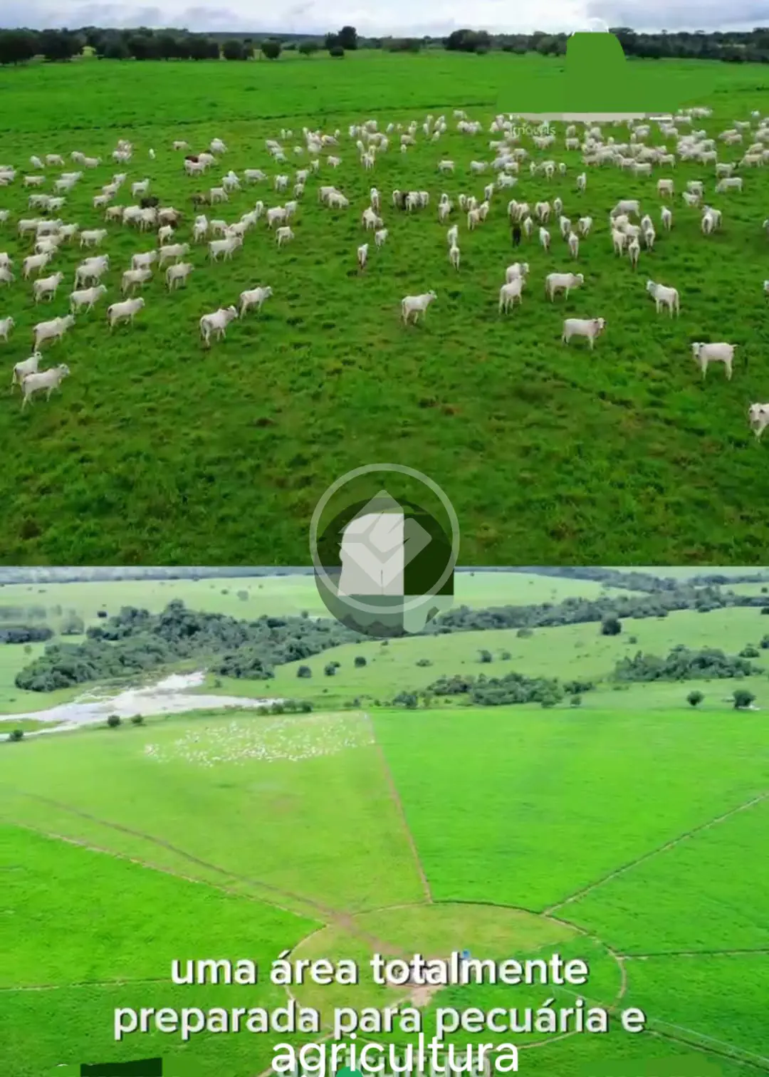 Imagem 2 - Fazenda em ZONA RURAL, Ribamar Fiquene - MA