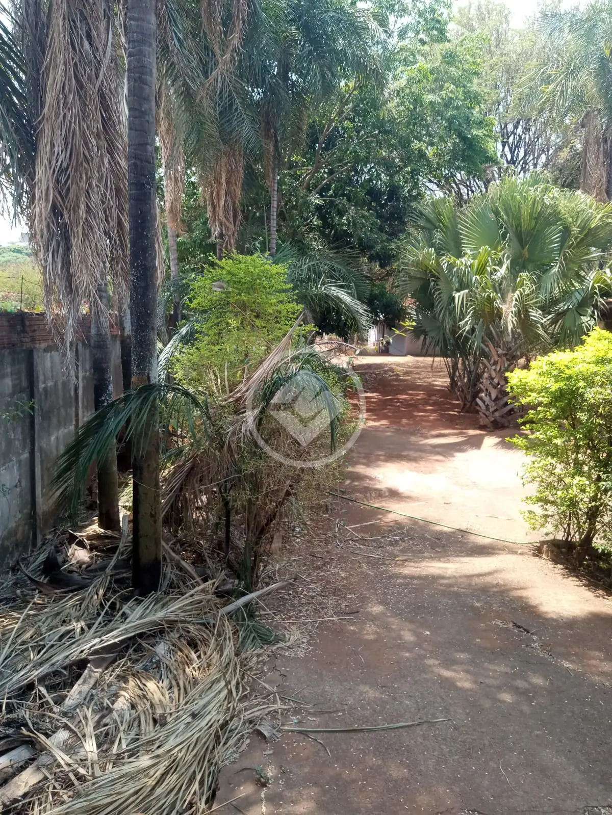 Chácara Chácaras Dona Gê, Goiânia - GO — foto 1