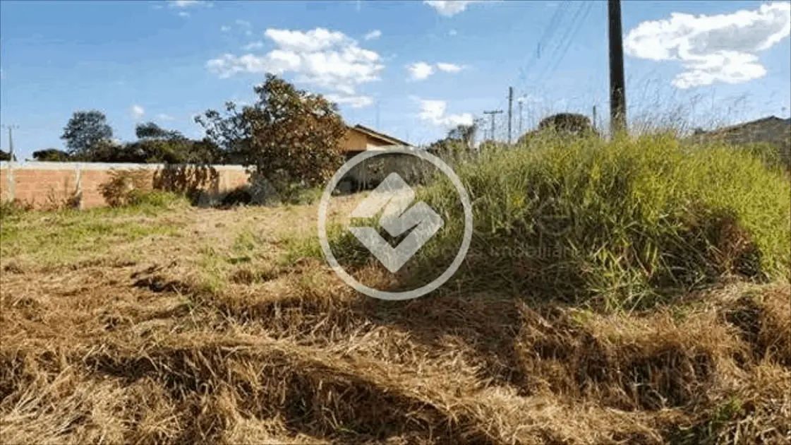 Terreno Jardim Dom Bosco, Aparecida de Goiânia - GO — foto 2