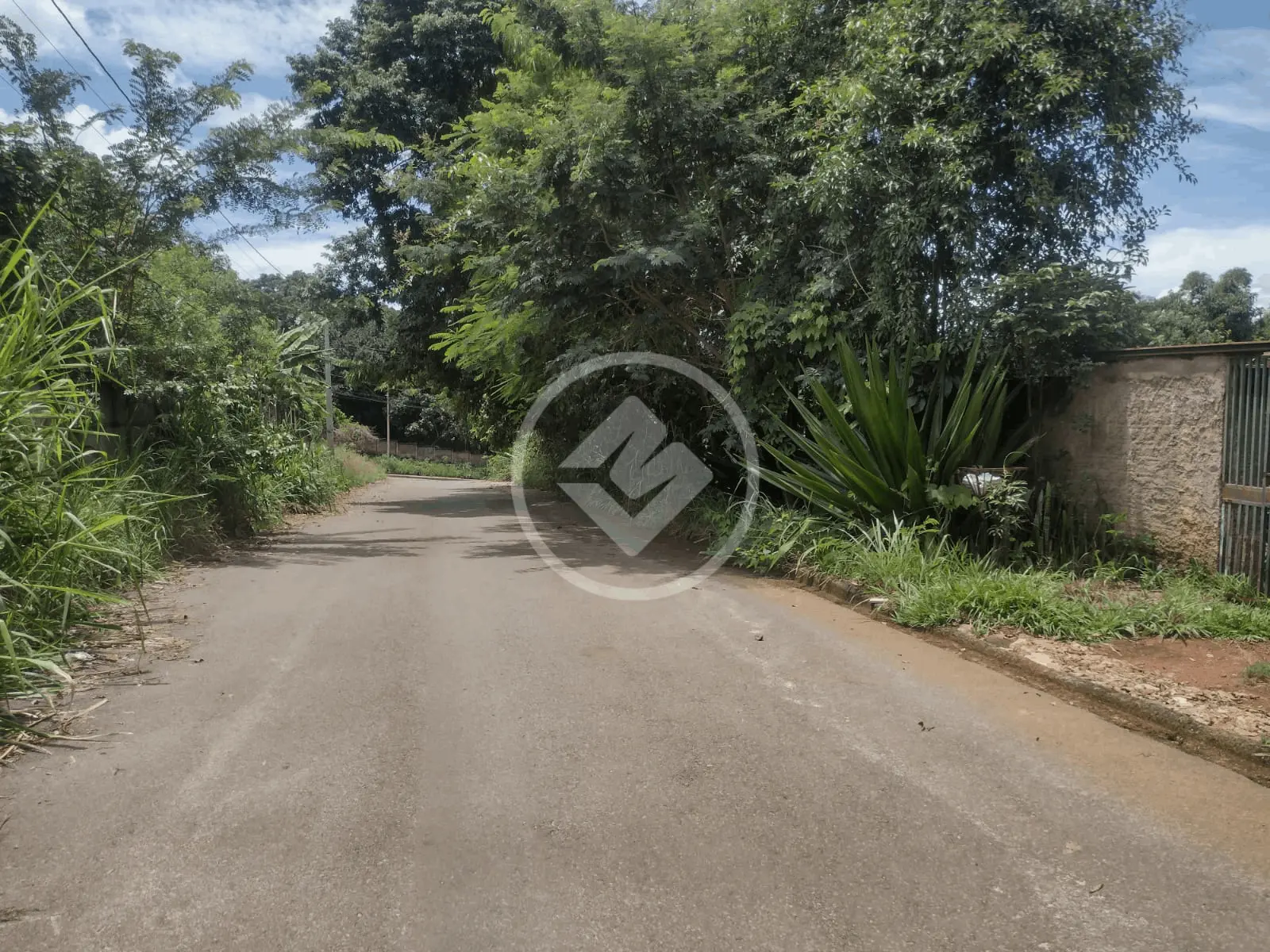 Imagem 4 - Chácara em Setor dos Estados, Aparecida de Goiânia - GO