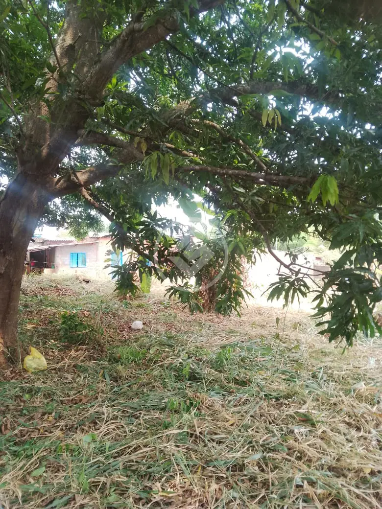 Imagem 4 - Terreno em Jardim Paraíso, Aparecida de Goiânia - GO