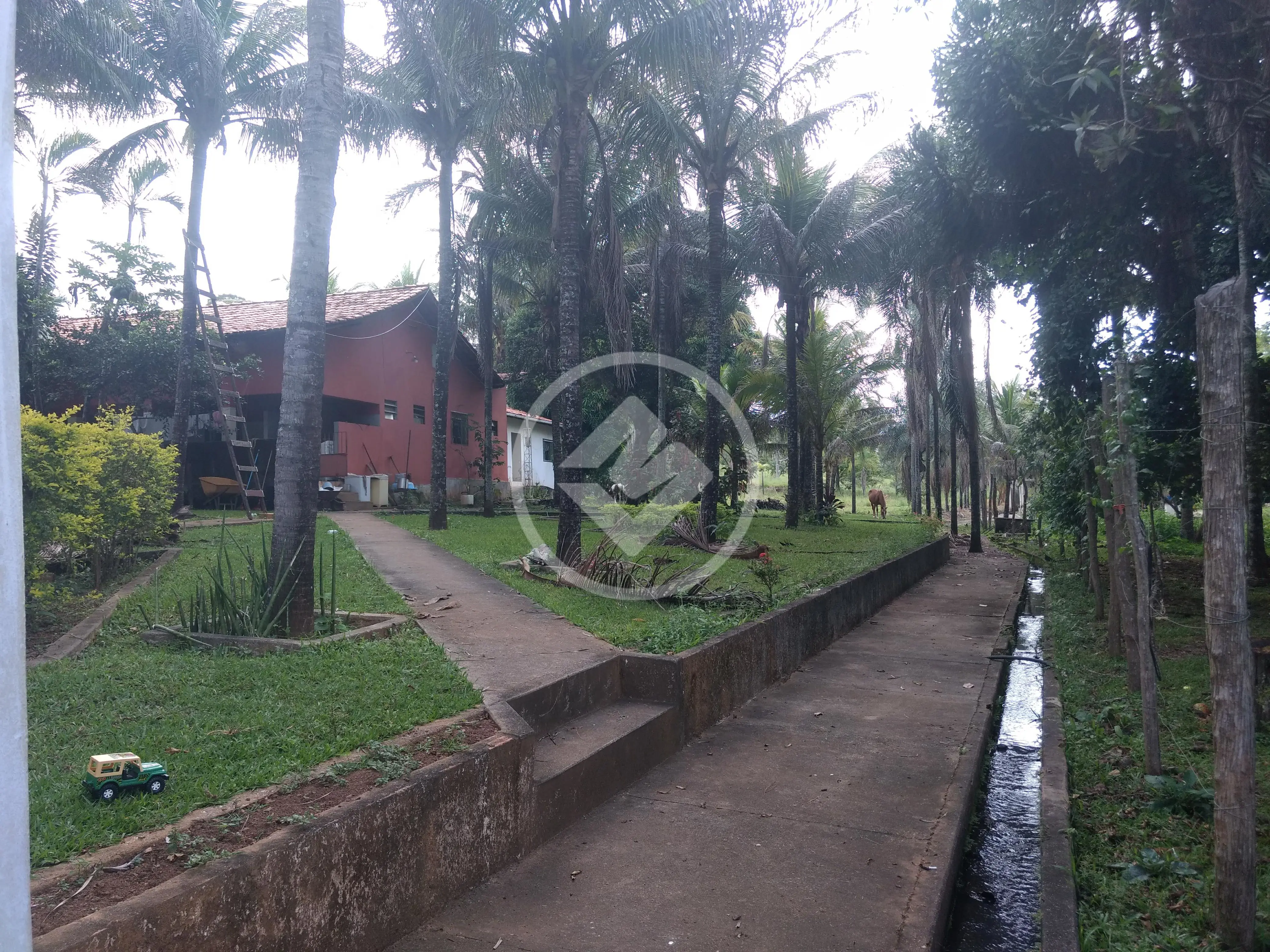 Fazenda Zona Rural, Hidrolândia - GO — foto 1