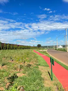 Imagem 5 - Terreno Condomínio em Distrito Agroindustrial, Senador Canedo - GO