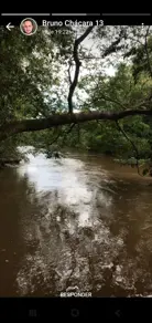 Imagem 5 - Chácara em Zona Rural, Pires do Rio - GO