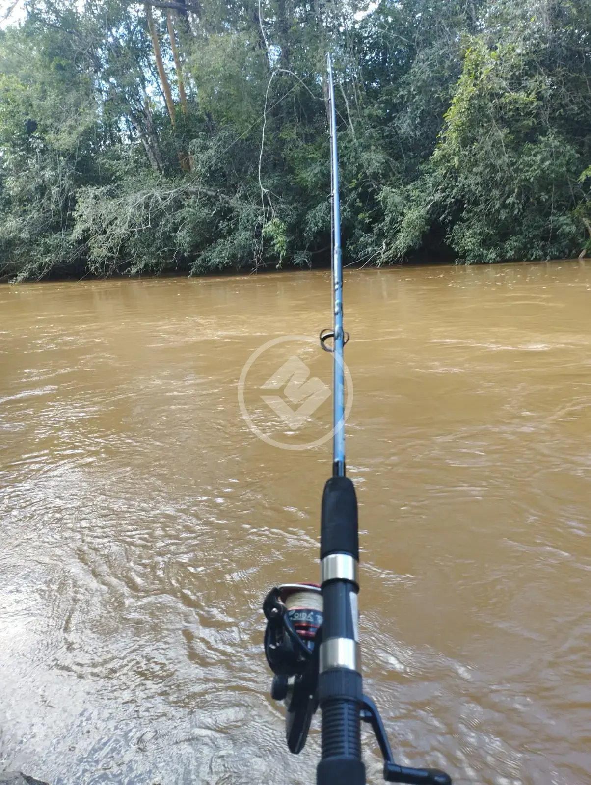 Imagem 3 - Chácara em Zona Rural, Pires do Rio - GO