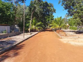 Imagem 3 - Chácara em Centro, Britânia - GO