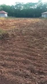 Imagem 2 - Chácara em Zona Rural, Pires do Rio - GO
