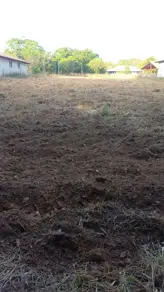 Imagem 6 - Chácara em Zona Rural, Pires do Rio - GO