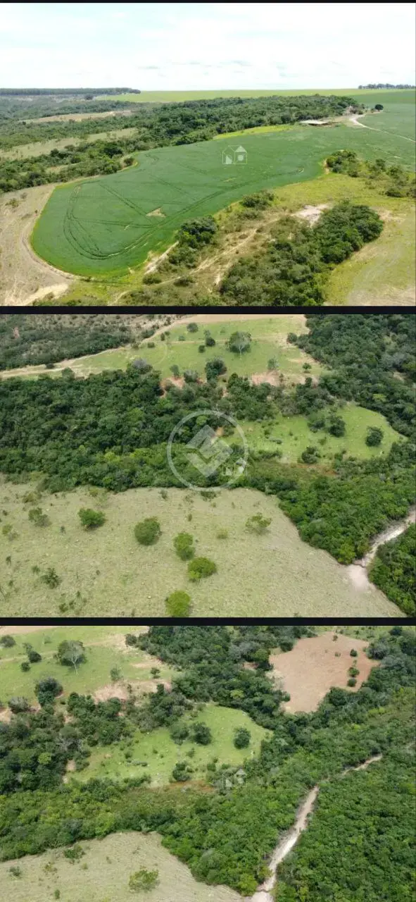 Imagem 3 - Fazenda em Vila Mutirao, Silvânia - GO