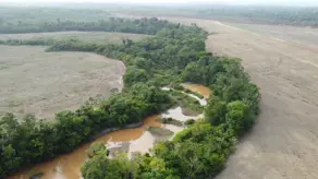 Fazenda Dom Eliseu, Dom Eliseu - PA — foto 2