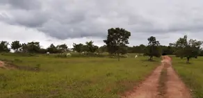 Fazenda Centro, Silvânia - GO — foto 1
