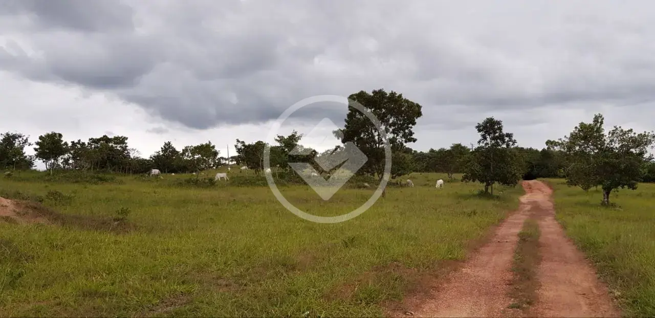 Imagem 1 - Fazenda em Centro, Silvânia - GO