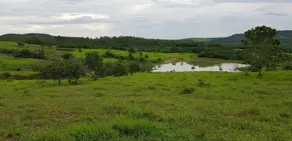 Imagem 2 - Fazenda em Centro, Silvânia - GO