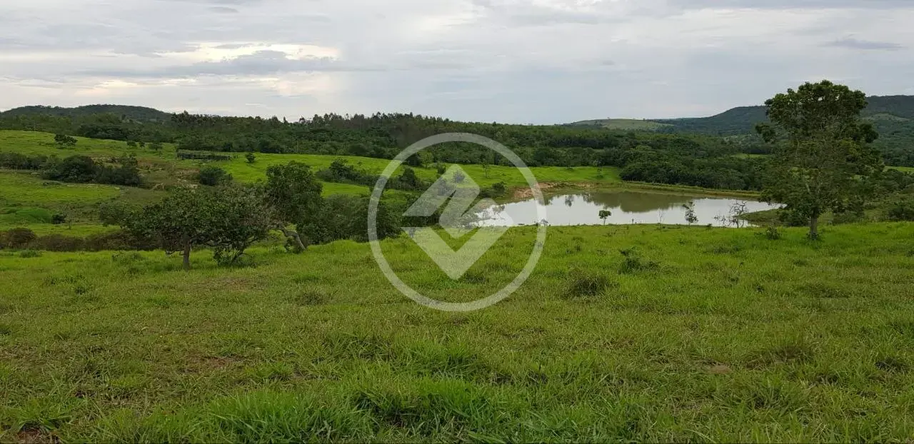 Imagem 2 - Fazenda em Centro, Silvânia - GO