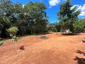 Imagem 6 - Chácara em Aldeia das Águas, Bela Vista de Goiás - GO