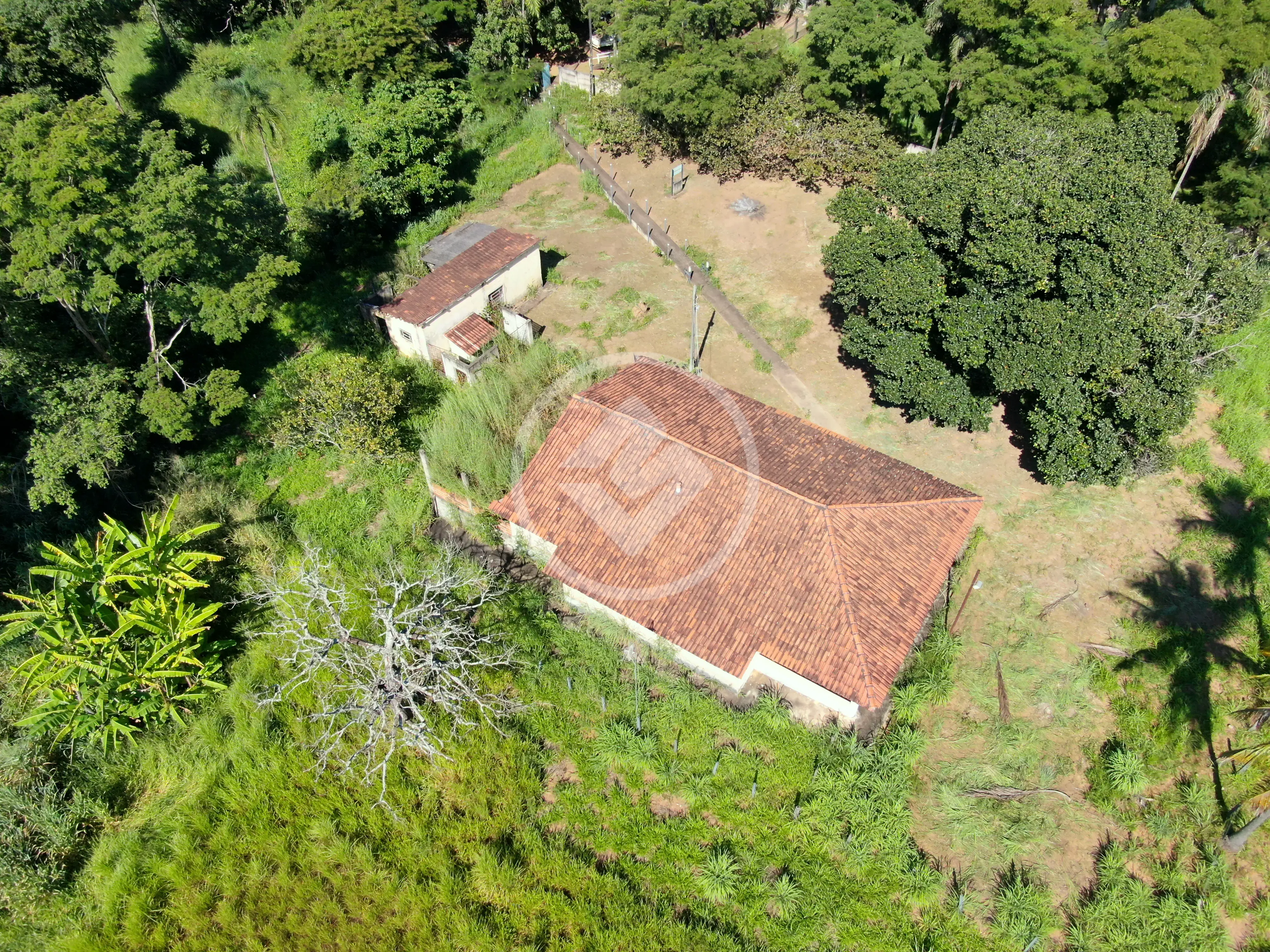Imagem 5 - Fazenda em Estância Vargem Bonita, Senador Canedo - GO