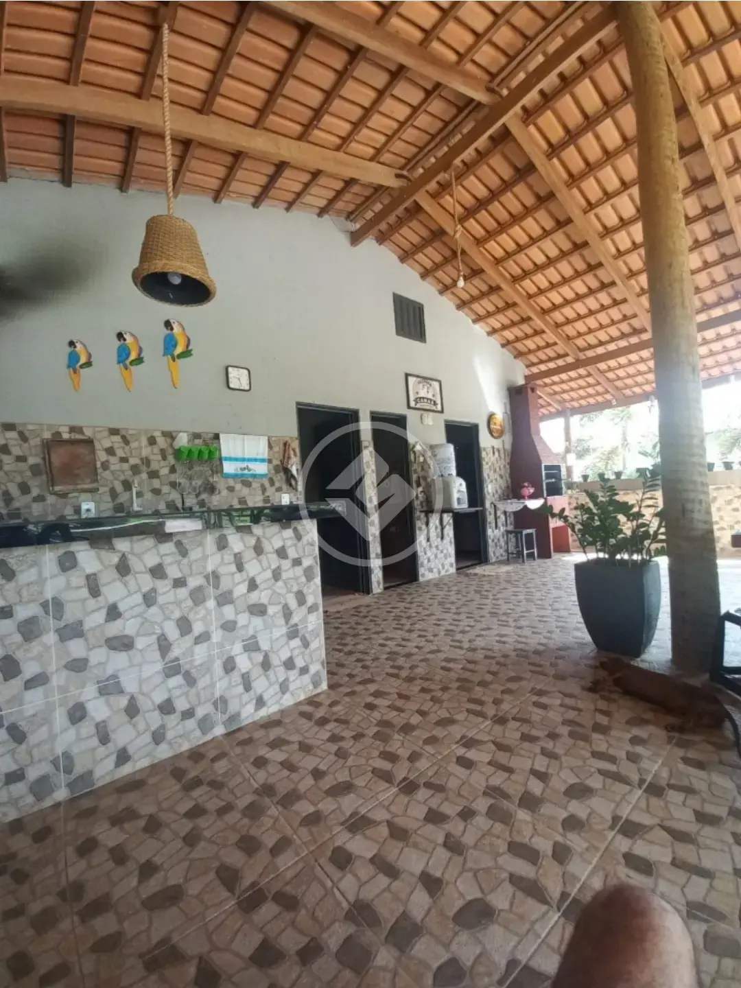 Image 2 - Fazenda em Setor Central, Faina - GO