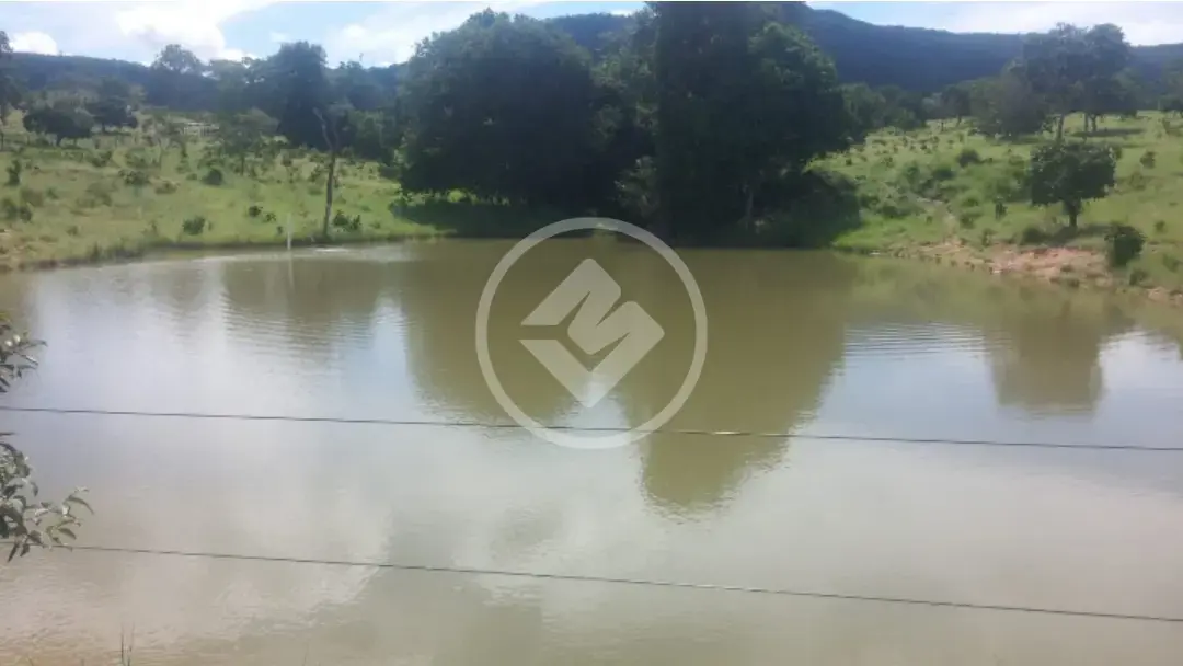 Imagem 1 - Fazenda em Setor Central, Faina - GO