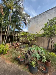 Imagem 4 - Casa em Jardim América, Goiânia - GO