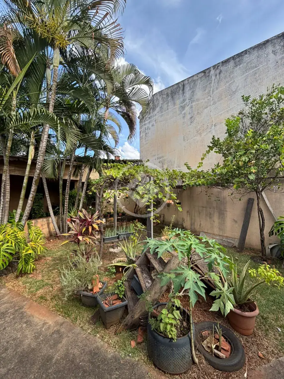 Imagem 4 - Casa em Jardim América, Goiânia - GO