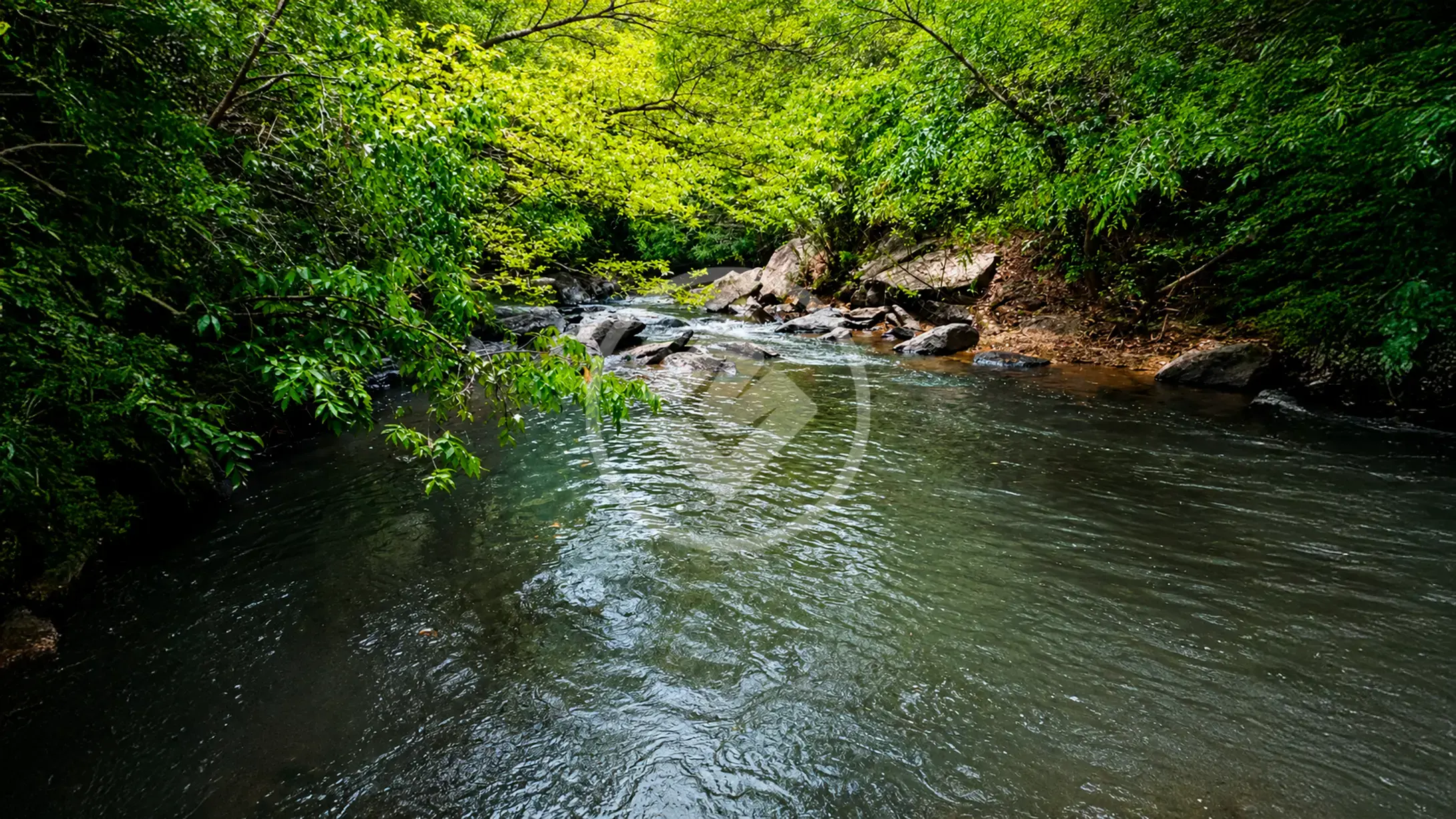 Imagem 5 - Sítio em GO 139 BV de Goiás, Bela Vista de Goiás - GO