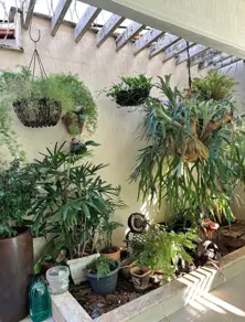 Imagem 4 - Casa em Jardim Primavera, Trindade - GO