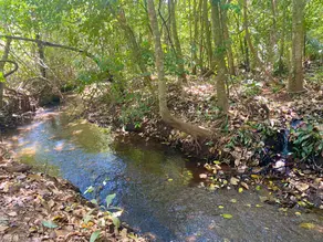 Imagem 4 - Chácara em Zona Rural, Bela Vista de Goiás - GO
