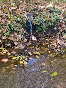 Imagem 3 - Chácara em Zona Rural, Bela Vista de Goiás - GO