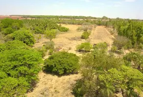 Imagem 2 - Chácara em Zona Rural, Bela Vista de Goiás - GO