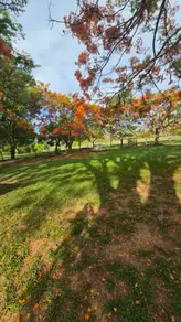 Imagem 3 - Chácara em Zona Rural, Bela Vista de Goiás - GO
