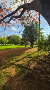 Imagem 4 - Chácara em Zona Rural, Bela Vista de Goiás - GO