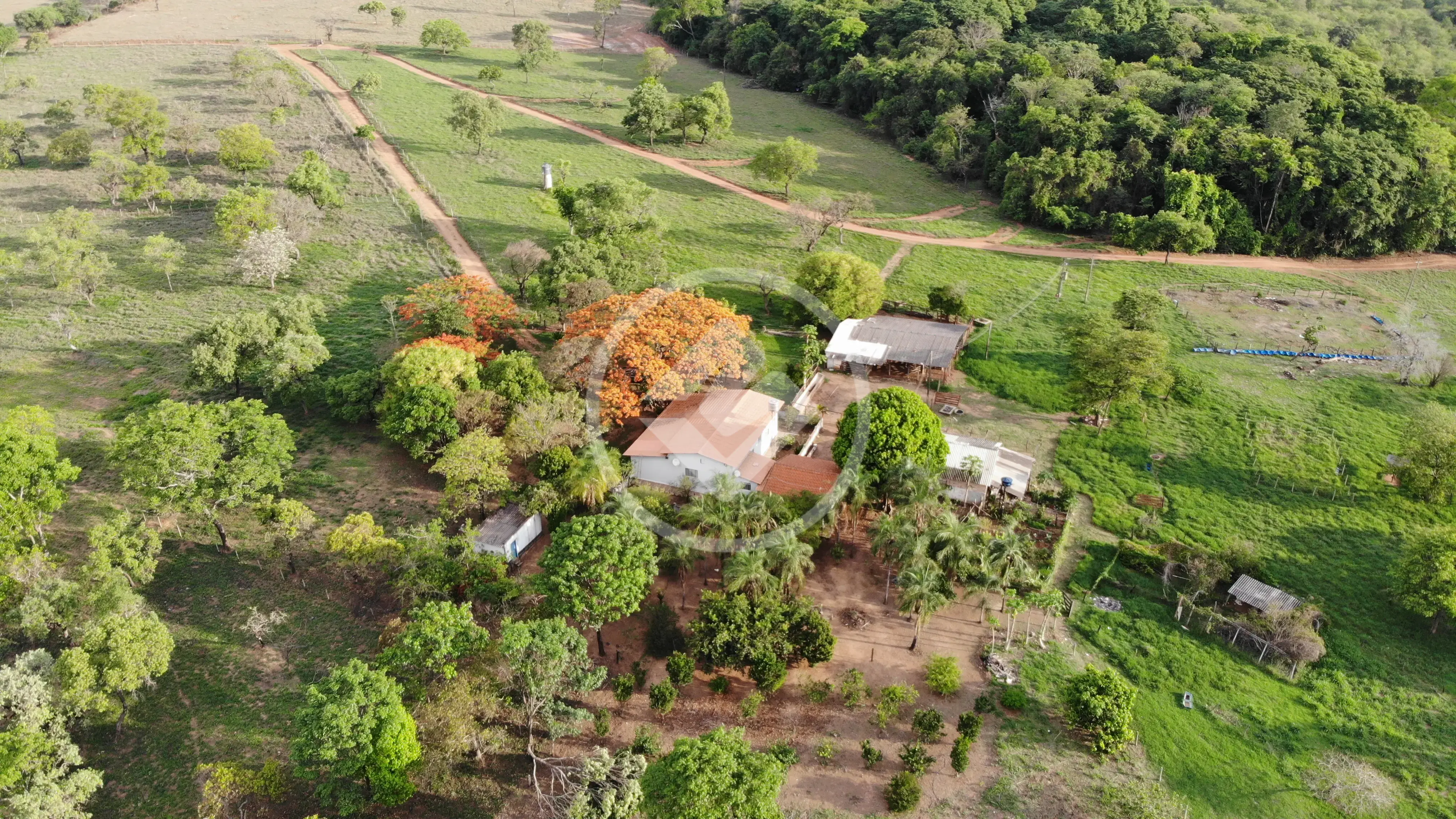 Imagem 1 - Chácara em Zona Rural, Bela Vista de Goiás - GO