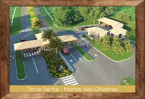 Imagem 2 - Terreno Condomínio em Área Rural de Trindade, Trindade - GO
