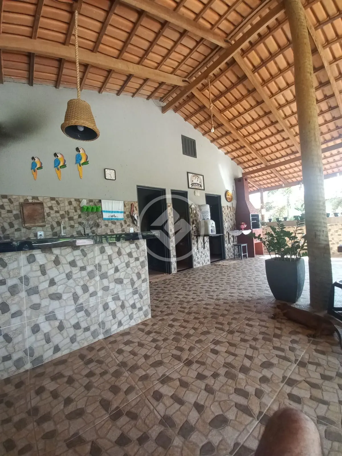Imagem 5 - Fazenda em Setor Central, Faina - GO