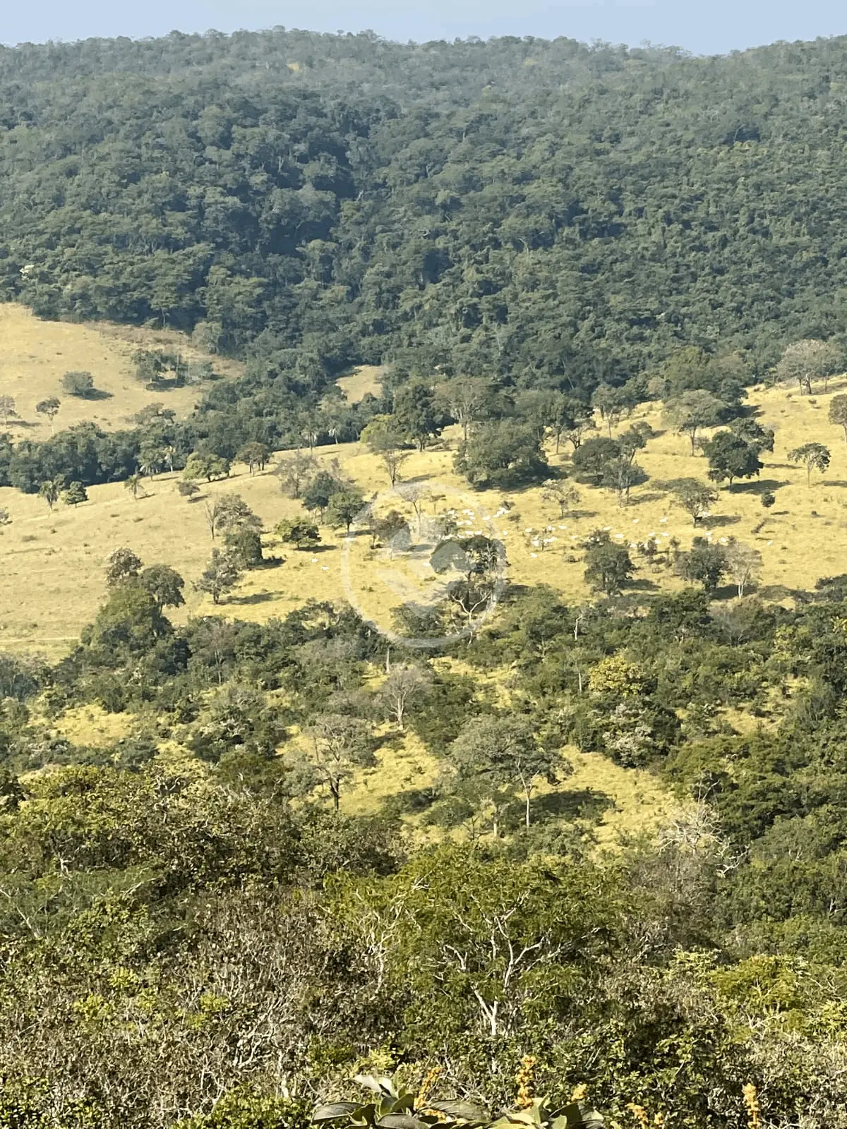 Imagem 3 - Fazenda em Zona Rural, Cromínia - GO