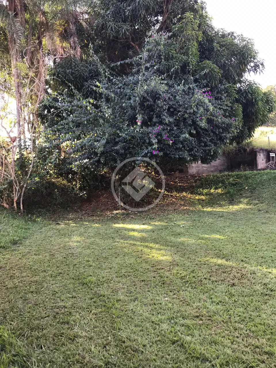 Imagem 2 - Chácara em Chácara, Bela Vista de Goiás - GO
