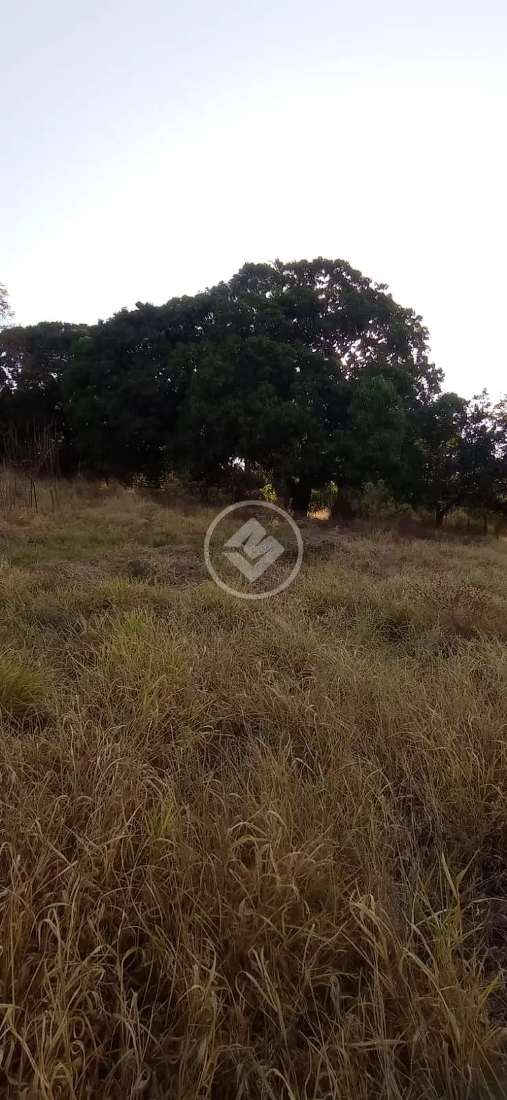 Image 10 - Chácara em Residencial Itaipu, Goiânia - GO