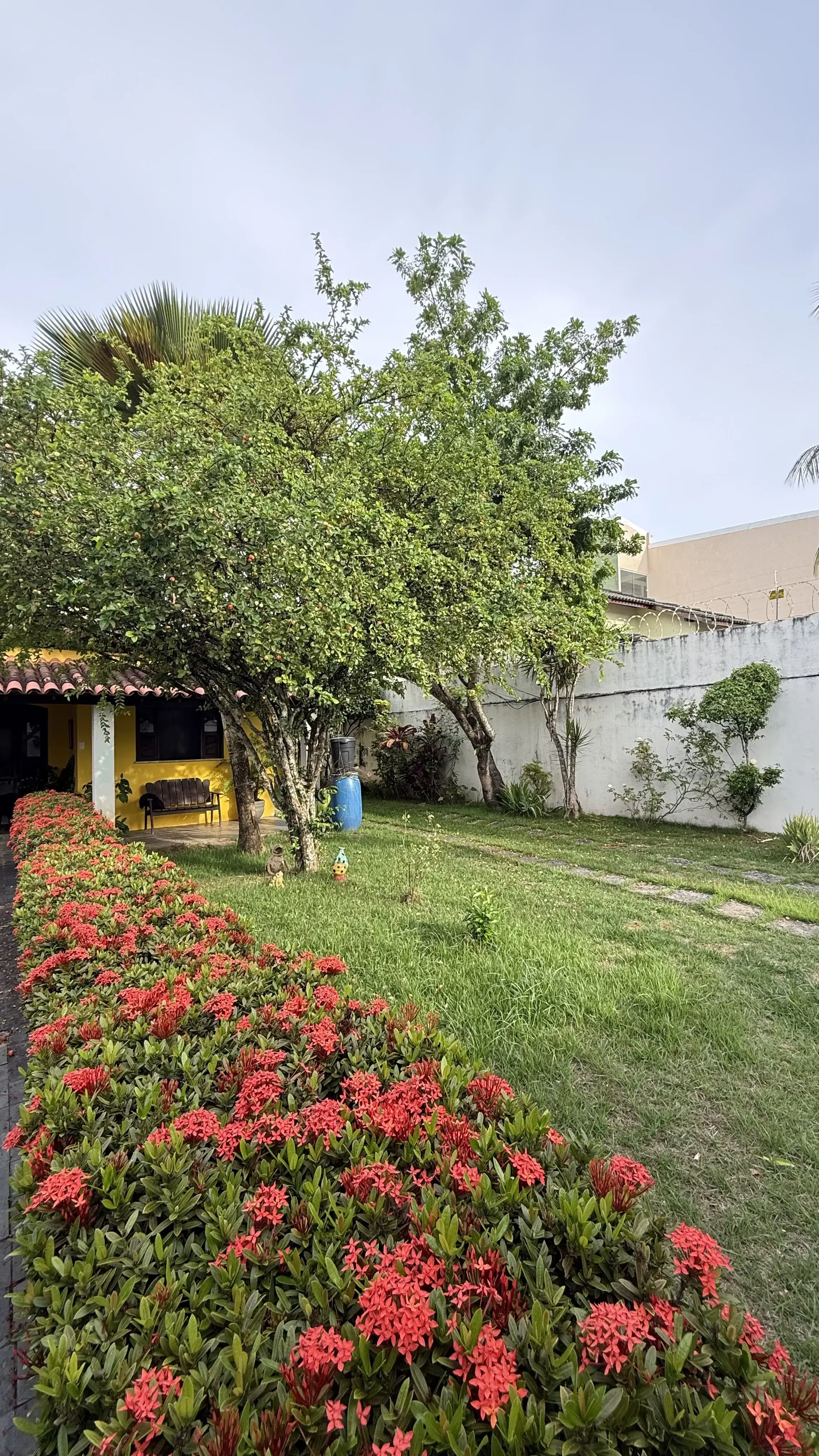 Imagem 1 - Casa em Pituaçu, Salvador - BA