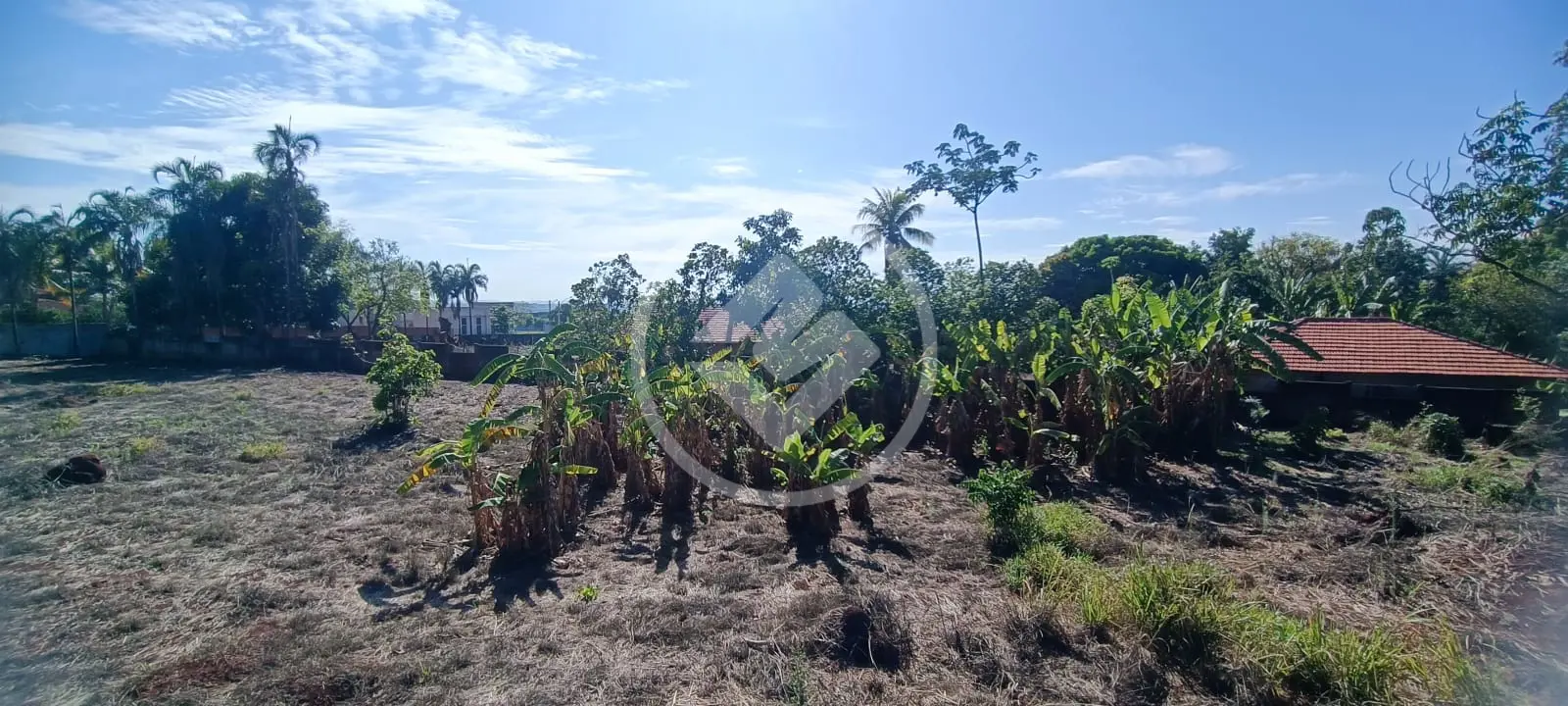 Imagem 5 - Chácara em Chácaras de Recreio São Joaquim, Goiânia - GO