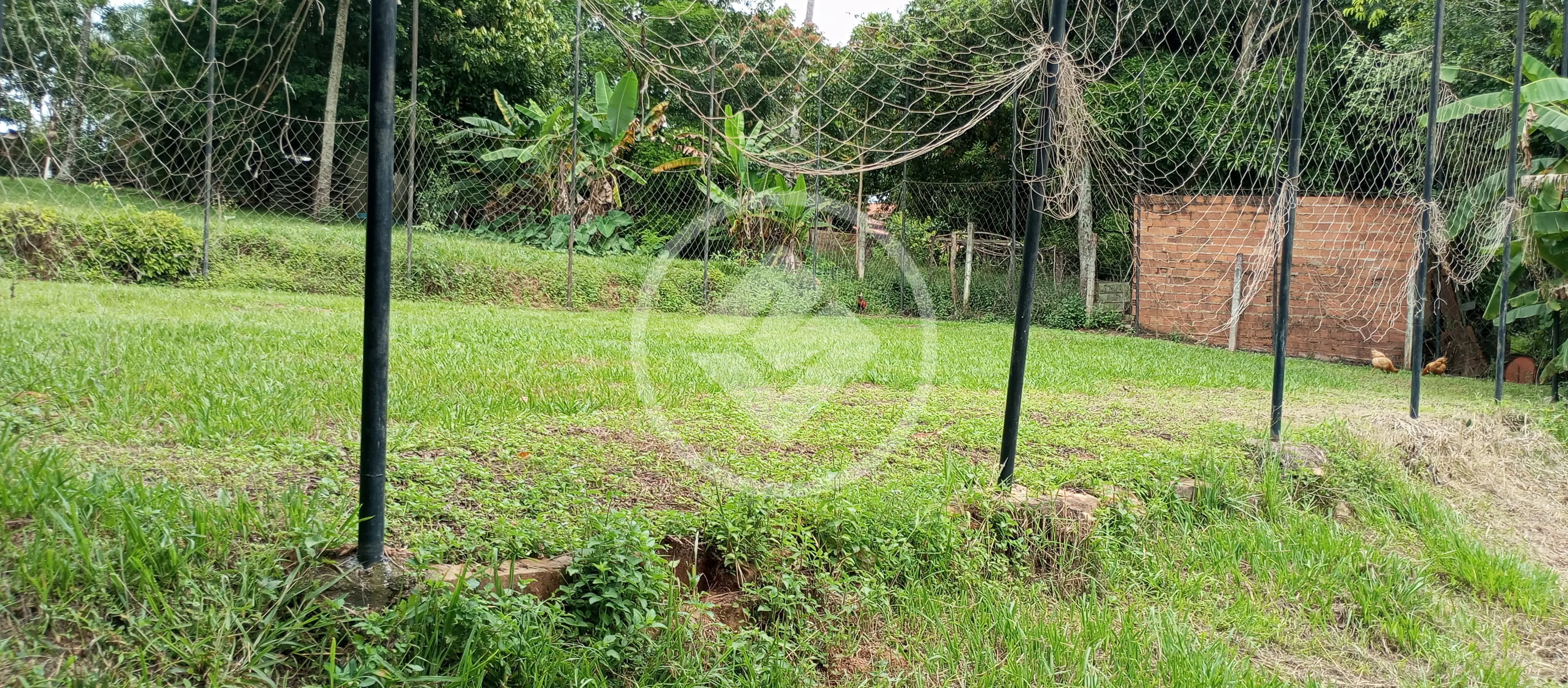 Imagem 3 - Chácara em Condomínio Privê das Oliveiras, Goiânia - GO