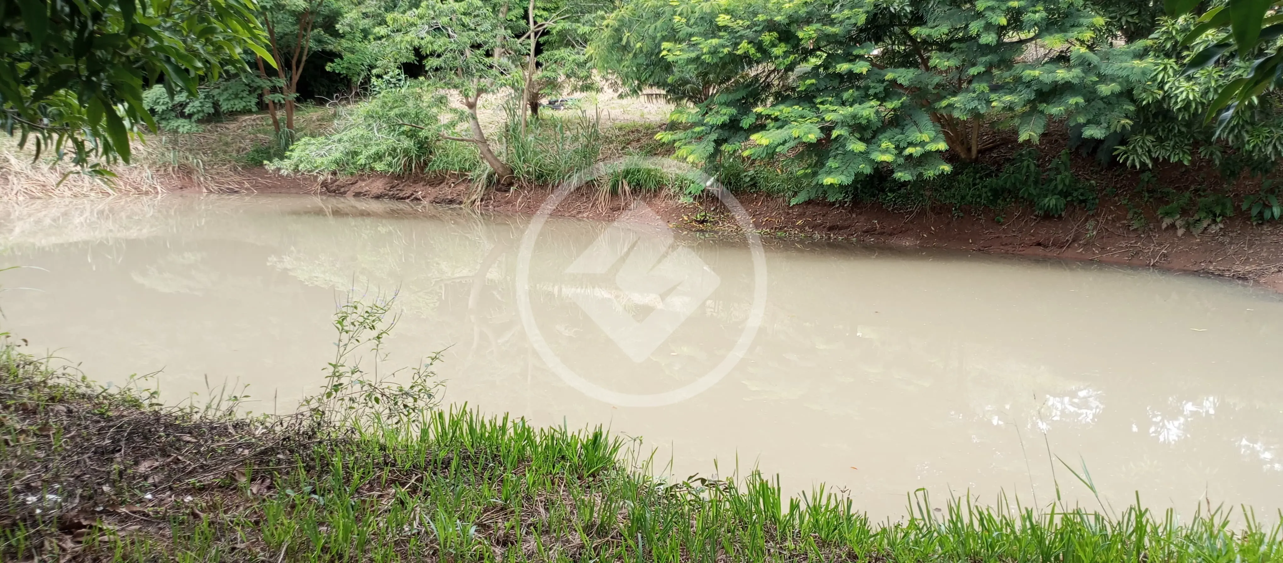 Imagem 5 - Chácara em Condomínio Privê das Oliveiras, Goiânia - GO