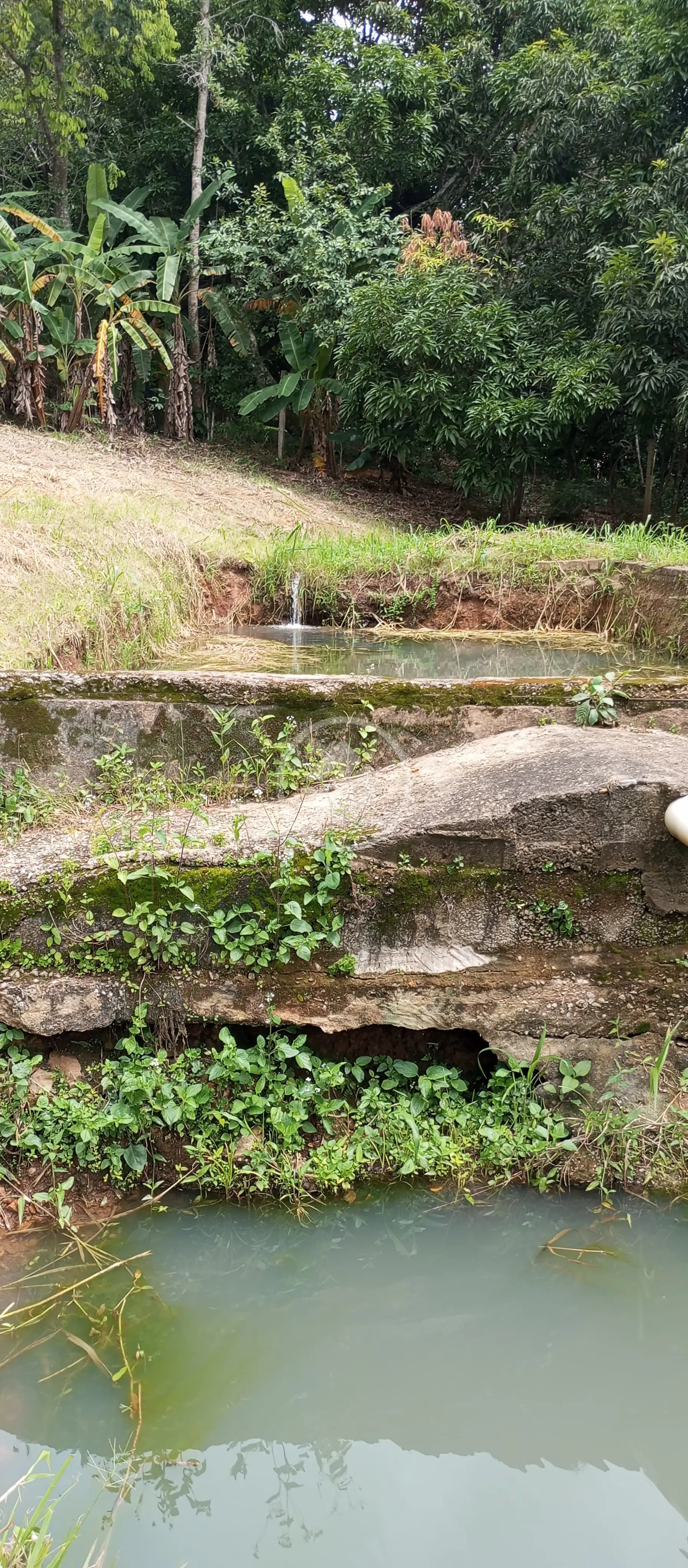 Imagem 4 - Chácara em Condomínio Privê das Oliveiras, Goiânia - GO