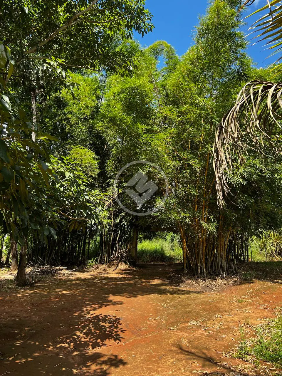 Chácara Vale do Sol - Gleba 5, Aparecida de Goiânia - GO — foto 1