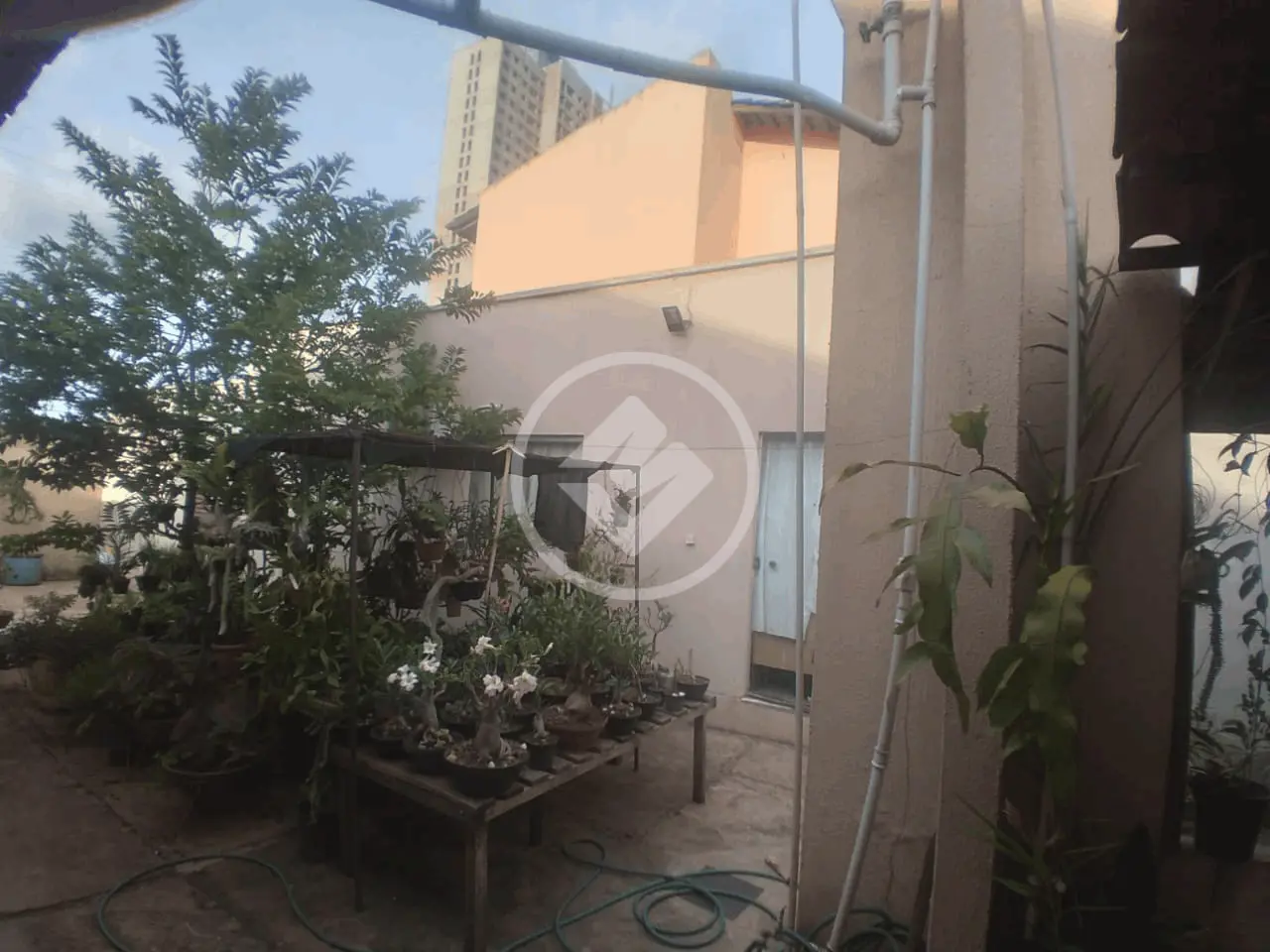 Imagem 5 - Casa em Jardim América, Goiânia - GO