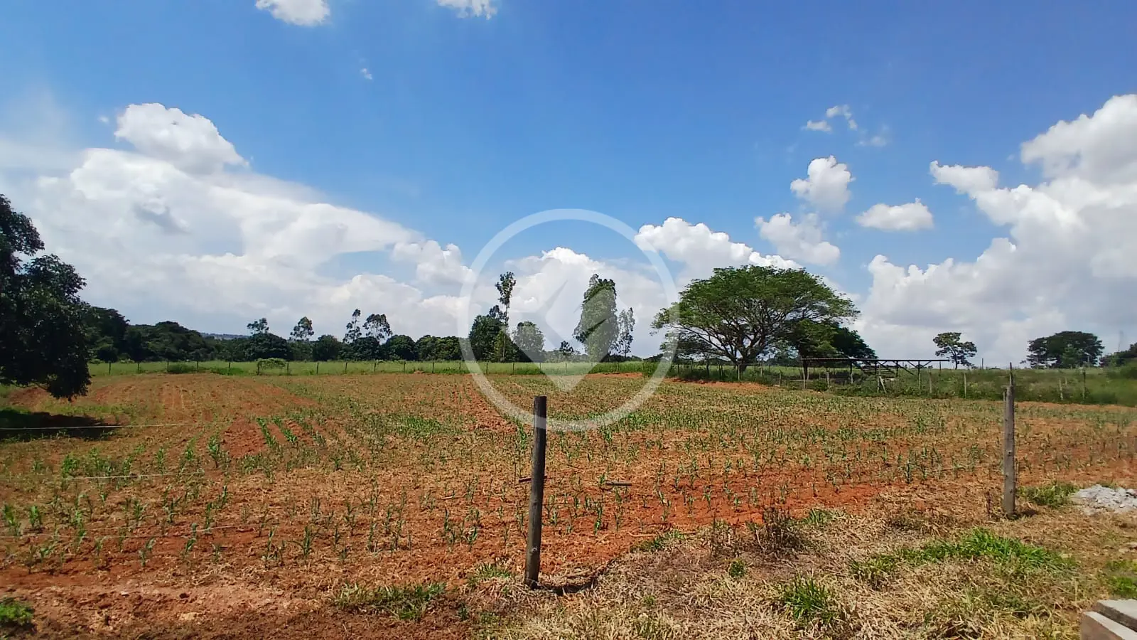 Image 38 - Chácara em Aldeia das Águas, Bela Vista de Goiás - GO